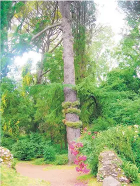  ?? COURTESY OF WIKIMEDIA COMMONS ?? Susan Williams and Bonnie Joseph present a lecture about two Italian gardens, Ninfa (seen here) and La Foce, in a lecture for the Santa Fe Botanical Garden on Thursday, Feb. 14.