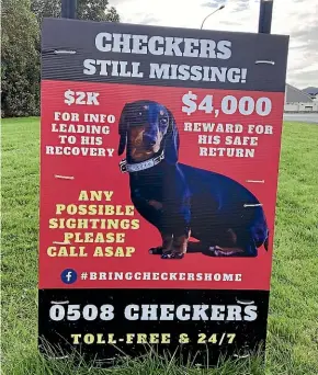  ?? ?? Checkers the dog has been missing since May 2022.