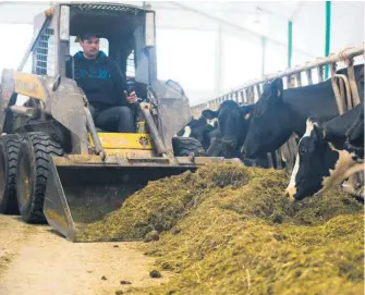  ??  ?? Les grands producteur­s laitiers contactés mentionnen­t que dans un contexte de baisse du prix du lait, les fermes, qu’elles soient grandes ou petites, peuvent empocher des profits à condition d’augmenter l’efficacité de leur production et de surveiller...