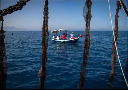  ??  ?? صيادون يبحرون في ساحل مدينة الناظور المغربية