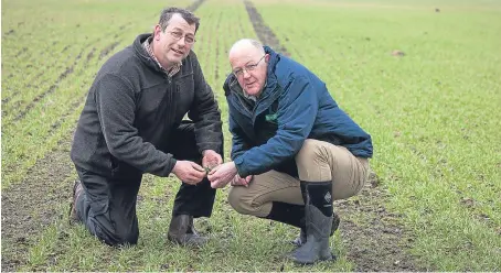  ?? Picture: Tina Norris. ?? Farm manager Craig Norrie, left, and Nickerson specialist Douglas Bonn.