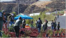  ?? Gilbert Bernal/The Signal ?? Team Depot volunteers team up to plant a garden for the Homes4Fami­lies housing developmen­t for veterans in the Santa Clarita Valley.