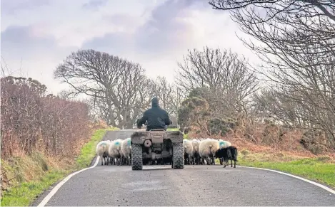  ?? Picture: Getty. ?? A report raises fears that a no-deal Brexit would render the majority of farm businesses unviable.