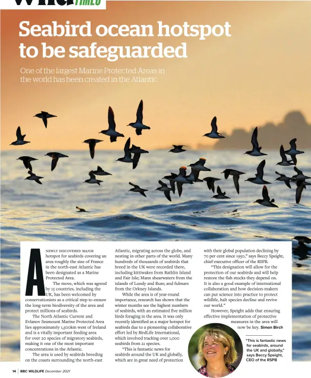  ?? ?? “This is fantastic news for seabirds, around the UK and globally,” says Beccy Speight, CEO of the RSPB