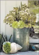  ??  ?? Really big flowerpots, filled with just the right plants, make a bold statement when they’re placed against the backdrop of a home.