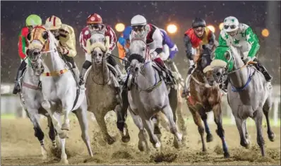  ??  ?? Action from one of the eight races held on the opening day of the new Qatar Racing & Equestrian Club’s (QREC) season at Al Rayyan on Wednesday.