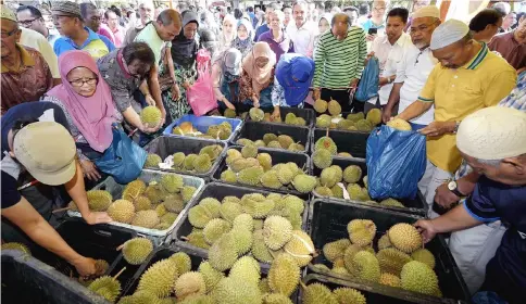  ??  ?? This year, durian lovers are in for a bonanza as bumper harvests have led to a sharp drop in prices in most states. — Bernama photo