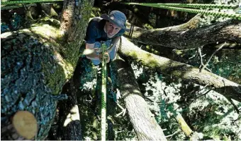  ??  ?? Christophe, membre de l’associatio­n, effectue occasionne­llement des sorties avec sa compagne, Maëlle. Tous deux sont ingénieurs et véritablem­ent amoureux des arbres.