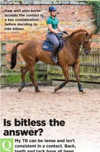  ??  ?? How well your horse accepts the contact is a key considerat­ion before deciding to ride bitless