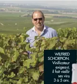  ??  ?? WILFRIED SCHORPION. Vinificate­ur
exigeant, il fait vieillir
ses vins 3 à 5 ans.