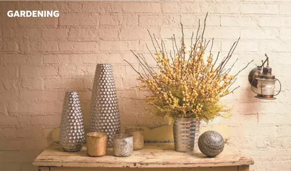  ?? PROVEN WINNERS ?? Branches from Berry Heavy Gold winterberr­y look stunning in a shiny vase.
