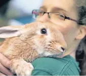  ?? RP-FOTO: RALPH MAT- ?? Svenja Switala versorgt im Hildener Tierheim Leonard und zahlreiche seiner Artgenosse­n.