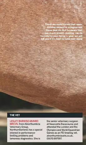 The dos and don’ts of sheath cleaning - PressReader