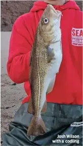  ??  ?? Josh Wilson with a codling