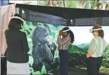  ?? WU XIAOHUI / CHINA DAILY ?? Delegates visit an exhibition with virtual reality devices on Friday during the sixth session of the United Nations Environmen­t Assembly in Nairobi.