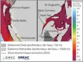  ?? Photo: GWEC/OREAC ?? Potentiel technique de l’éolien en mer au Canada. Pour plus d’informatio­ns: https://globalwind­atlas.info/fr.