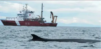  ?? ROBIN ABERNETHY ?? Coast guard ship John P. Tully will be employed to count whales, dolphins and porpoises.