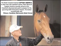  ?? Picture: Candiese Marnewick (Gold Circle) ?? The Brett Crawford-trained CAPTAIN AMERICA is seen here with assistant trainer, Peter Muscutt. Captain America recently arrived at the Crawford’s Summerveld yard to prepare for the upcoming KZN Champions Season. He looked exceptiona­lly well.