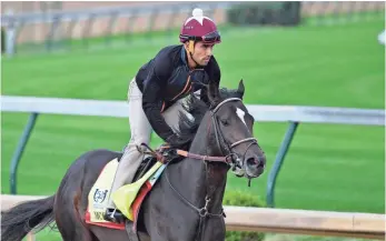  ?? JAMIE RHODES, USA TODAY SPORTS ?? McCraken, given 5-1 odds, gets a morning workout at Churchill Downs on Wednesday.