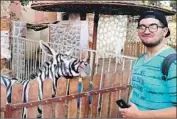  ?? Facebook ?? MAHMOUD SARHAN posted this image from his visit to Cairo’s Internatio­nal Garden with what appears to be a donkey painted to resemble a zebra.