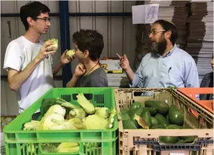  ?? (Courtesy) ?? RABBI AHARON Leibowitz (right), one of the founders of ‘Hashgacha Pratit,’ is photograph­ed on the job at the Kaima Farm in Beit Zeit alongside two young helpers.