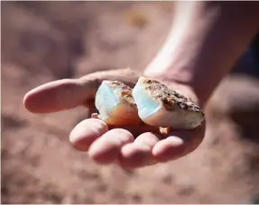  ??  ?? Below from top: Learn all about opals and maybe even buy one in Coober Pedy; The Ghan's Gold Service Twin Cabin by night.