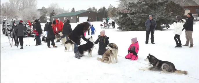  ?? Photo by Matthew Liebenberg ?? NORDIC FUN: The Swift Current Nordic Ski Club partnered with the Southwest Newcomer Welcome Centre to host Embrace Winter on World Snow Day at the Chinook golf course, Jan. 15. Above: A dog sled team from Gee-Haw Dog Sled Tours attracted a lot of attention during the World Snow Day event in Swift Current. For more photos, see Page 3.