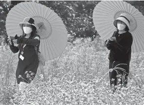  ?? KOJI SASAHARA/AP ?? People enjoy the field of cosmos Tuesday at Hamarikyu Gardens in Tokyo.