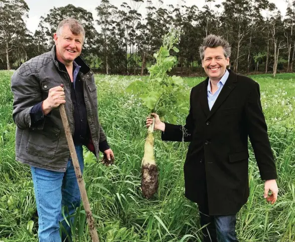  ??  ?? Victorian farmer Niels Olsen, recipient of Australia’s first soil carbon credits, with Matthew Warnken (holding a tillage radish), who developed the carbon project.