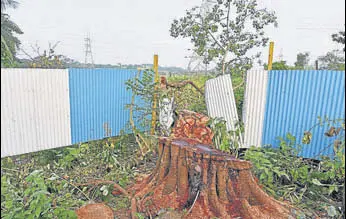  ?? SATYABRATA TRIPATHY/HT PHOTO ?? Axed trees in Aarey Colony in Mumbai on Monday.