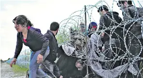 ??  ?? Syrian refugees push through the razor-wire fence near Roszke on the Hungary-Serbia border. Hungary’s prime minister has ordered that an 11ft-high fence be built along the entire 110-mile border to stem the flow of migrants