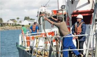  ?? | Supplied ?? OCEANA’S horse mackerel, hake, lobster and squid segment reported a 9 percent growth in operating profit for the six months to the end of March, driven by a strong performanc­e from the horse mackerel and hake businesses.