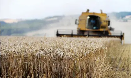  ?? Photograph: Andrew Matthews/PA ?? The IEA said: ‘It encourages laziness if you give people money … just for having the land.’