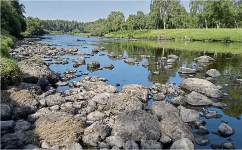  ?? ?? DRY SPELL: Low water levels at the River Spey at Grantown-on-Spey in July 2022. Picture by Sandy McCook.