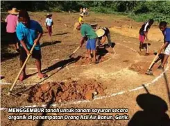  ??  ?? MENGGEMBUR tanah untuk tanam sayuran secara organik di penempatan Orang Asli Air Banun, Gerik.