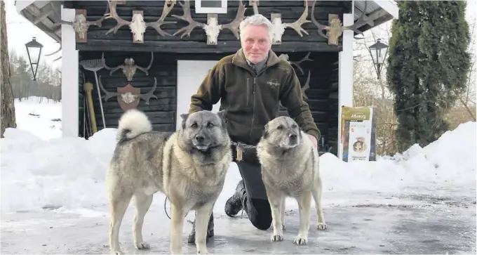  ?? FOTO: RAGNHILD JOHANSEN ?? ELGJAKT: Bjørn Bjerketved­t har drevet med elgjakt i en mannsalder. Her er han sammen med Grim (t.v.) (sønn, 6) og Bismark (far, 10).