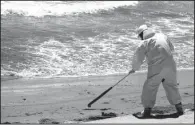  ?? AP/MICHAEL A. MARIANT ?? A cleanup worker rakes oil-contaminat­ed seaweed into piles Friday at California’s El Capitan State Beach.