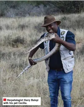  ??  ?? Herpetolog­ist Harry Baloyi with his pet Cecilia.