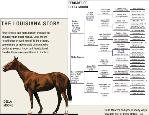  ??  ?? DELLA MOORE PEDIGREE OF DELLA MOORE