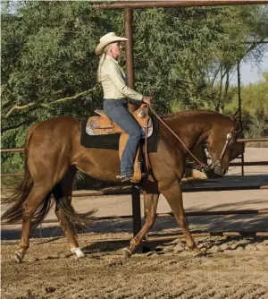  ??  ?? Your body position can help your horse or make his job more difficult. Be mindful of your torso, seat, and legs so you can get the response you’re looking for and stay out of your horse’s way.