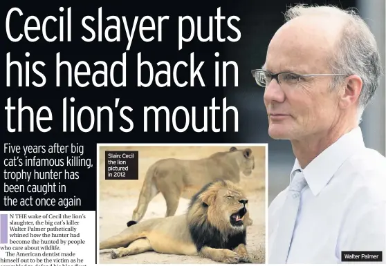  ??  ?? Slain: Cecil the lion pictured in 2012
Walter Palmer