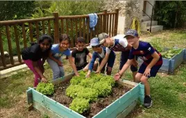  ?? (Photo O.-V. M.) ?? Une leçon de choses apprise « en vrai » par les enfants.