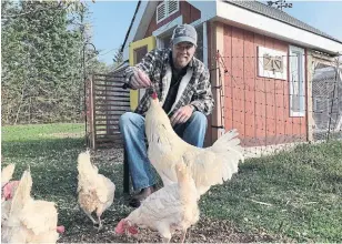  ?? THE CANADIAN PRESS ?? Canadian folk singer-songwriter Dave Gunning ran into a chicken wire shortage that was worsened by concerns about food security, which led to a surge in DIY food production.