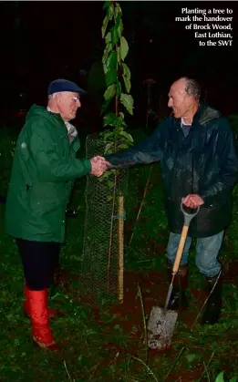  ?? ?? Planting a tree to mark the handover of Brock Wood, East Lothian, to the SWT