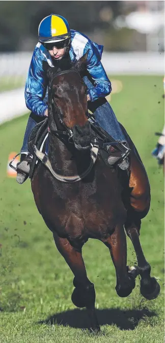  ?? Picture: BRETT COSTELLO ?? Jockey Hugh Bowman rides champion Winx in a Randwick barrier trial yesterday as she prepares for a crack at a third Cox Plate.