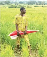  ??  ?? Abdulkadir on his rice farm at Kwakuti