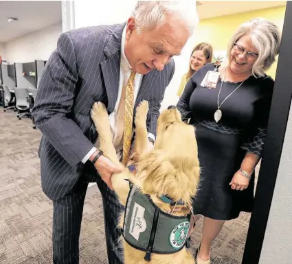  ?? Steve Gonzales / Staff photograph­er ?? Mark Wallace, CEO of Texas Children’s Hospital greets Bailey, a therapy dog.