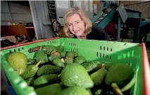  ??  ?? Robyn Johnson says the honesty box has been successful for their avocado operation.