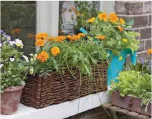  ??  ?? Join the growing trend and be creative with your windowsill­s