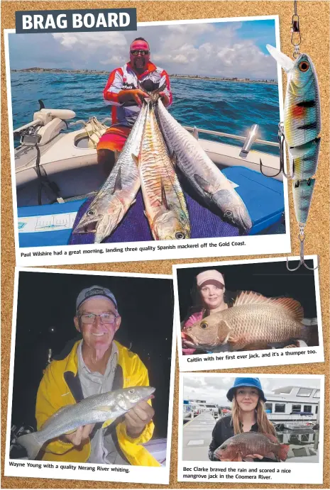  ??  ?? Paul Wilshire had a great
Wayne Young with a quality
Nerang River whiting. morning, landing three quality Spanish mackerel off the Gold
Caitlin with her
Coast. first ever jack, and it’s a thumper
Bec Clarke braved the rain and scored a nice mangrove jack in the Coomera River. too.